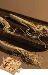 Bundles of dried ginseng roots on a wooden tray with a small box of ginseng slices.