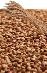 Close-up of small rocks or gravel with a bunch of wheat stalks lying on top