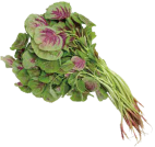 Bunch of fresh green and purple ornamental cabbages.