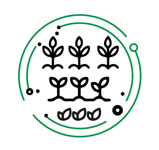 A circular countdown timer with a minimalistic design and three small leaves at the bottom.