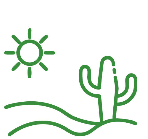 Simple line drawing of a sun, a cactus, and rolling hills or ground.