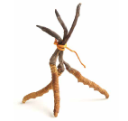 A sculpture of a reindeer made from twigs and natural materials.