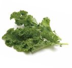 Fresh kale leaves on a white background