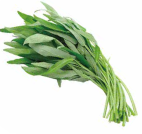 Fresh bunch of green leafy vegetables