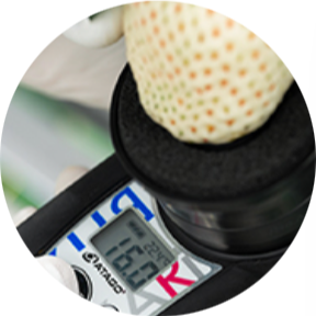 A strawberry placed on a digital kitchen scale showing 16.2 grams.