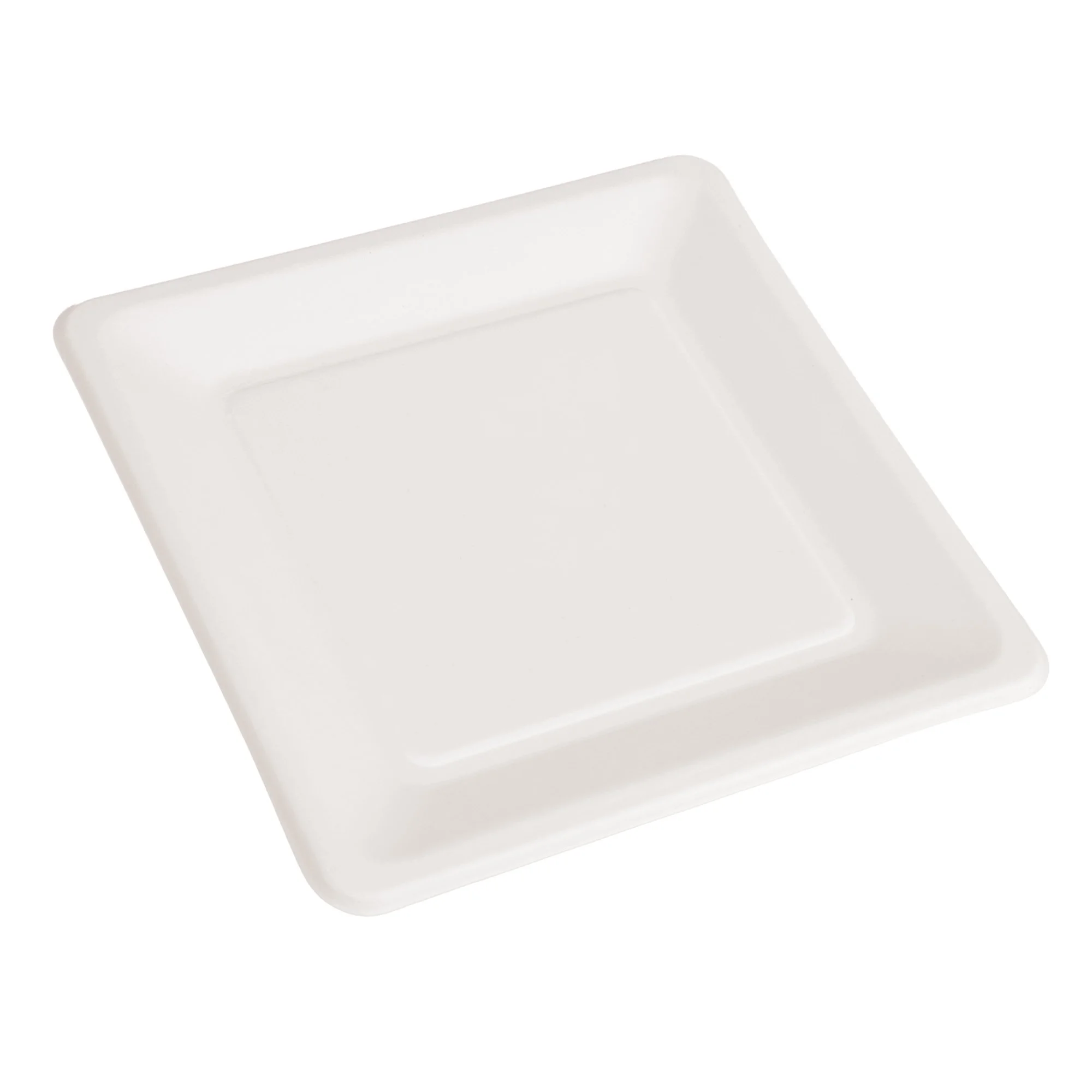 10 Inch Square (Design 2) Plate Sugarcane Bagasse PFAS-Free Compostable Certified