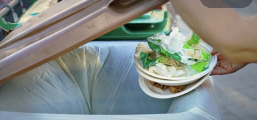 Separating Fact from Fiction: The Real Impact of Compostable Packaging