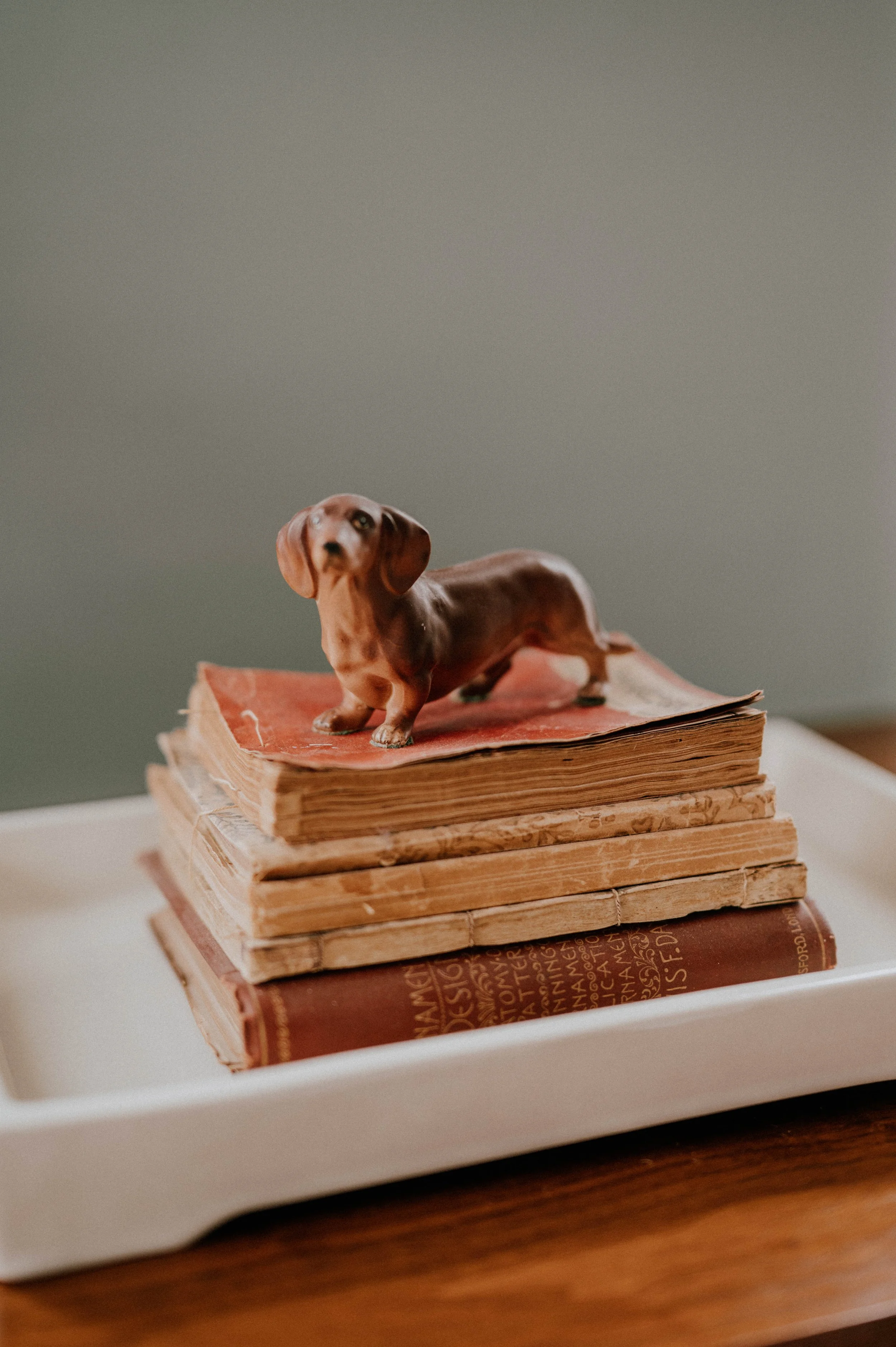 Photo Credit: Kate Michaud Photography
