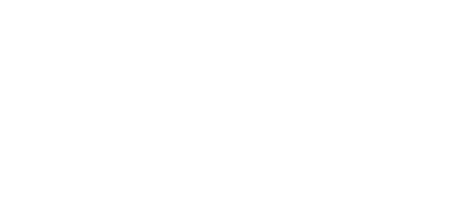 THE HEARTSTRING HEROES