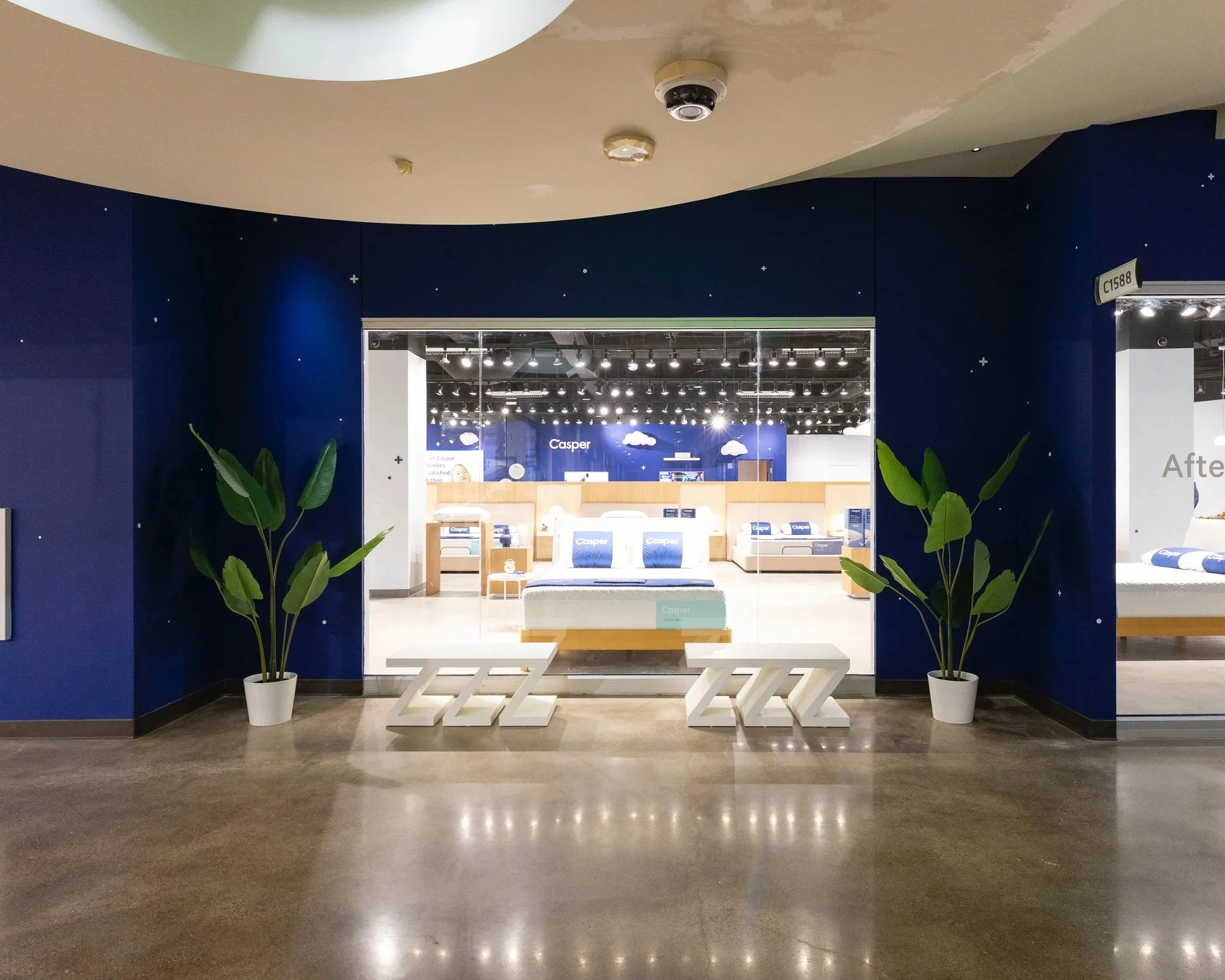 Store display area with a blue wall and white letters spelling out 'ZZZ'. Two potted plants are on either side of the display, and bright lights are visible through a glass window in the background.