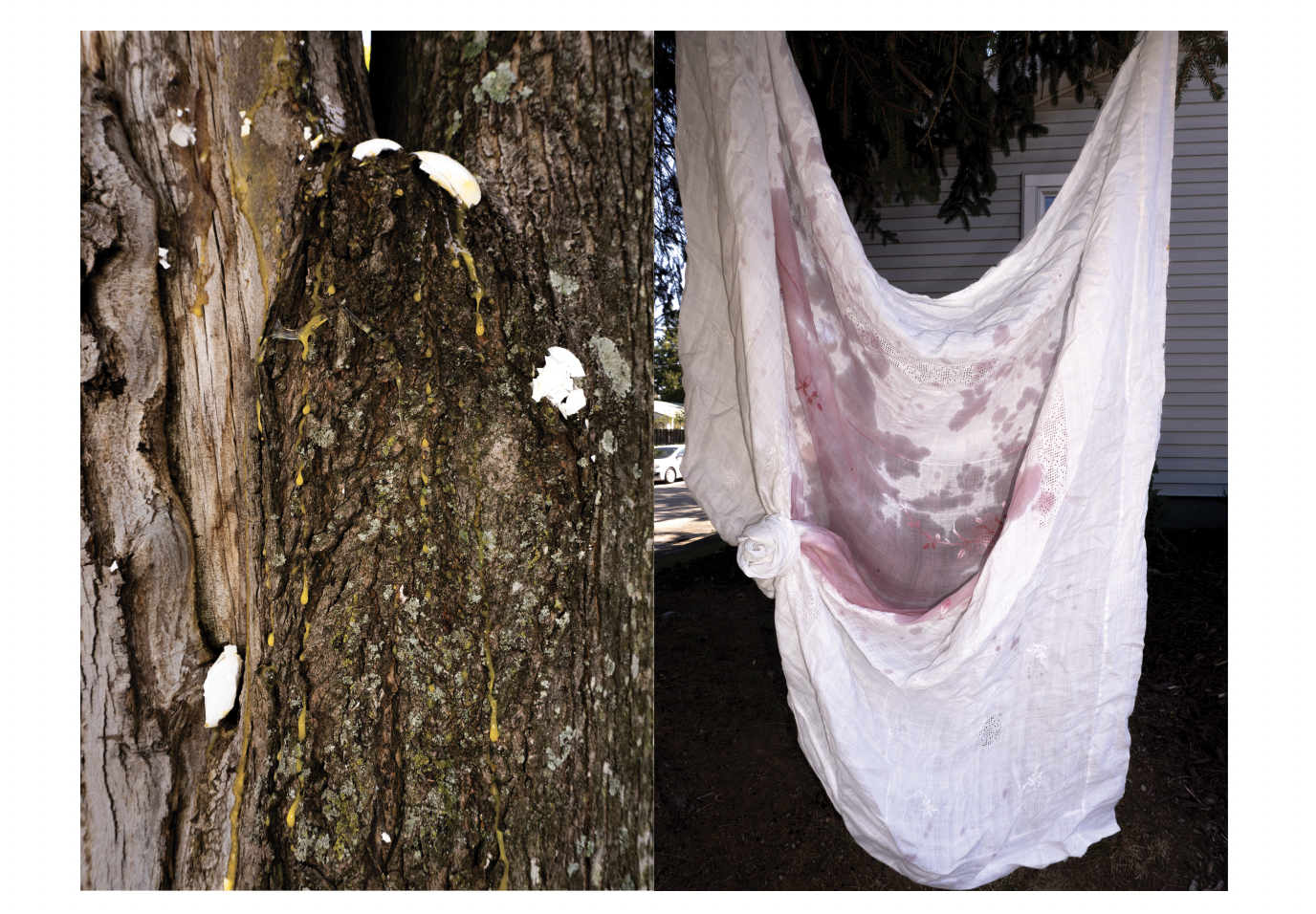 Screenshot 2025-10-09 at 2.38.13 PM.png