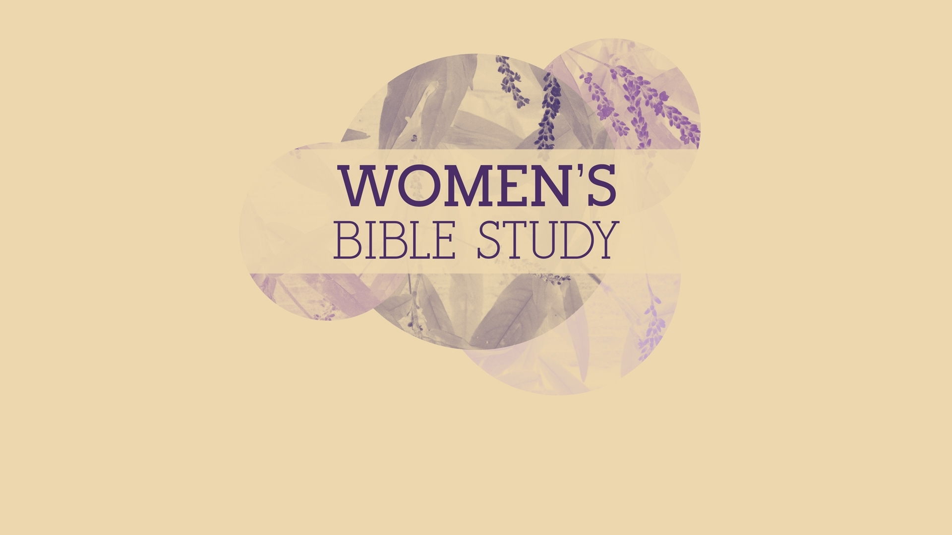 Ladies Monday Bible Study