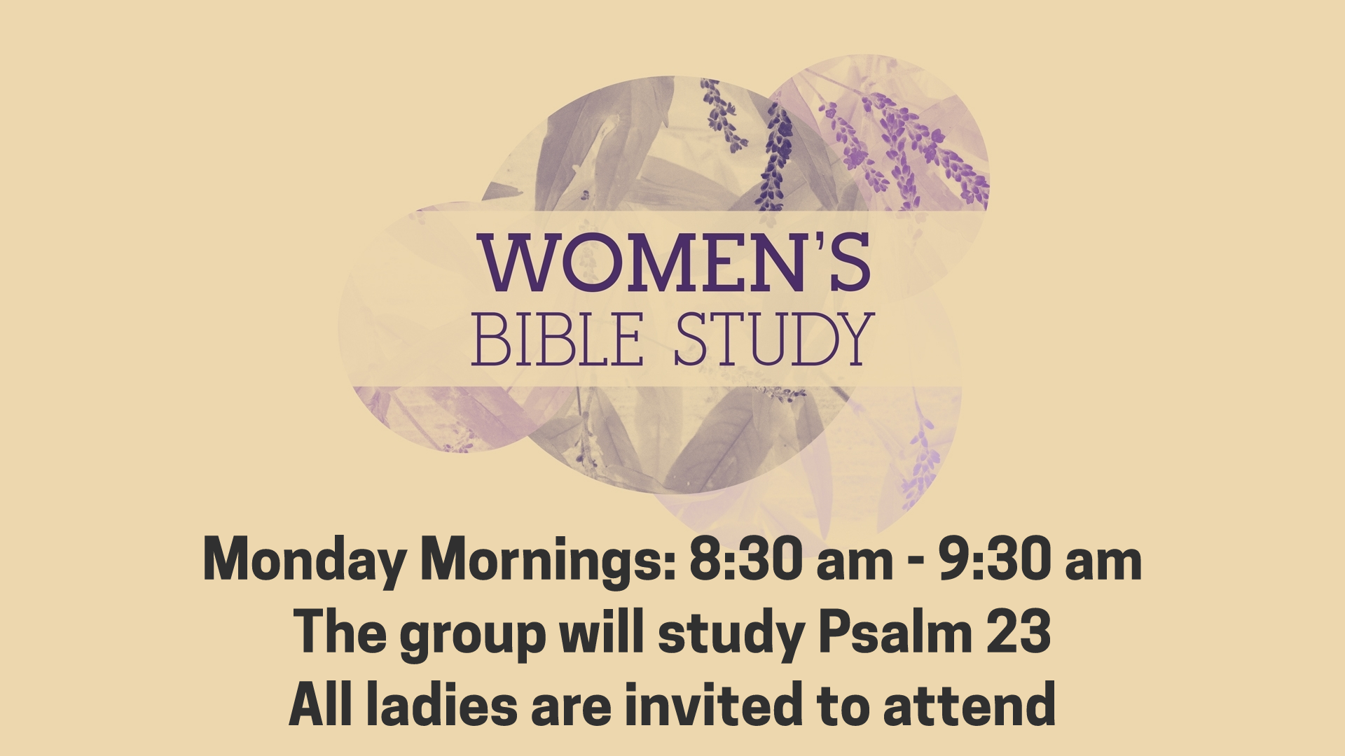 ARBC Women's Weekly Bible Study