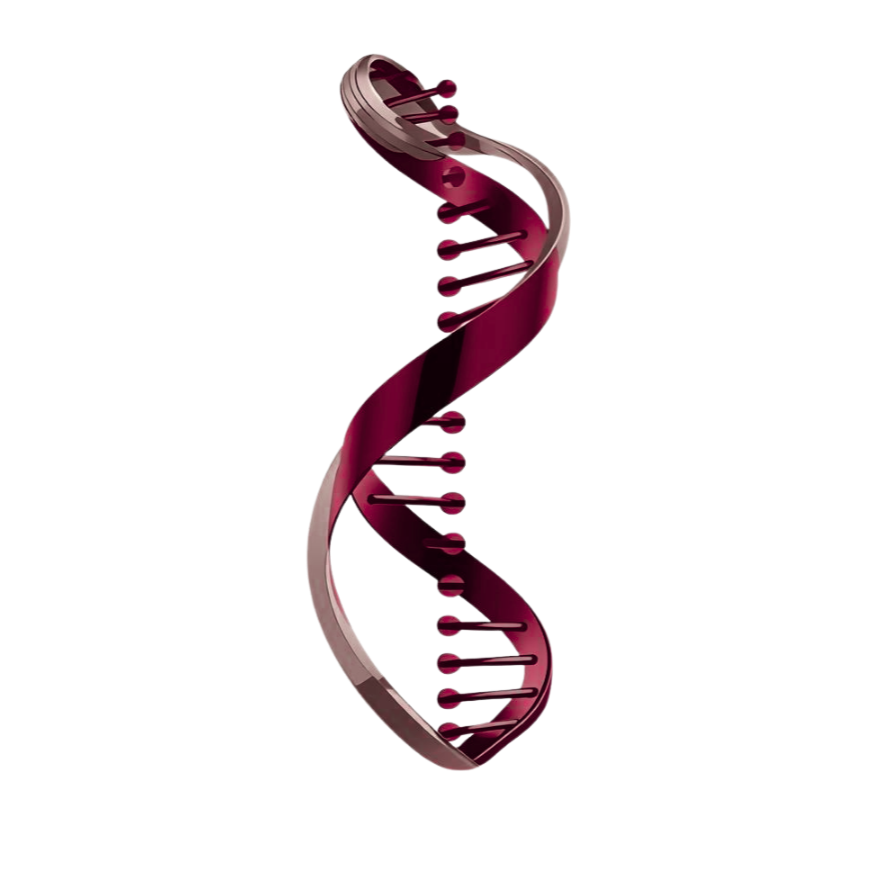 A 3D model of a DNA double helix with a metallic appearance, featuring a twisted ladder structure with base pairs connecting the two strands.