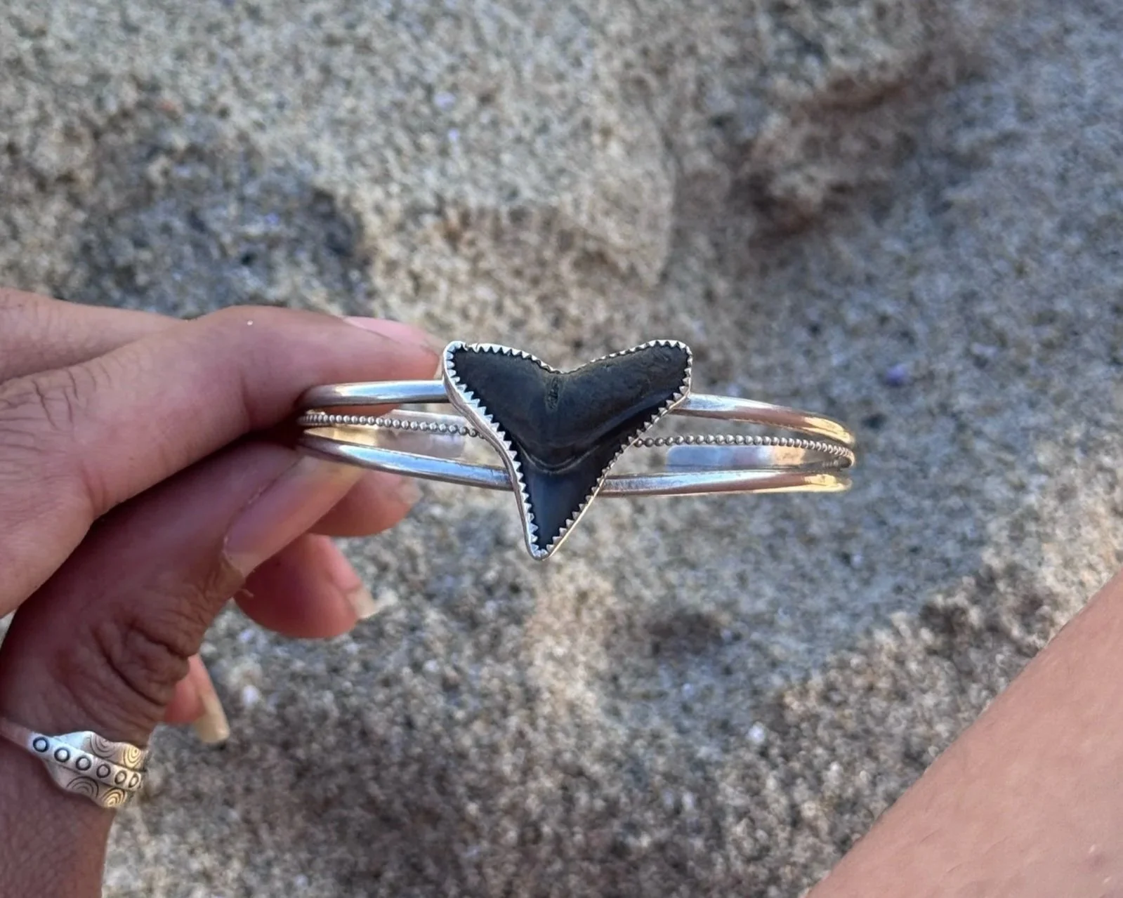 Fossilized Shark Tooth Bracelet