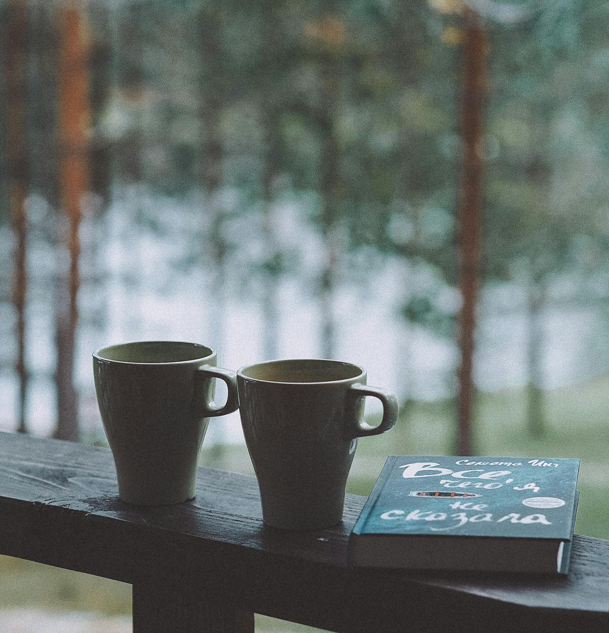 Two black ceramic mugs on a wooden railing, with a blurred forest background, and a closed blue book with Russian text placed beside them.