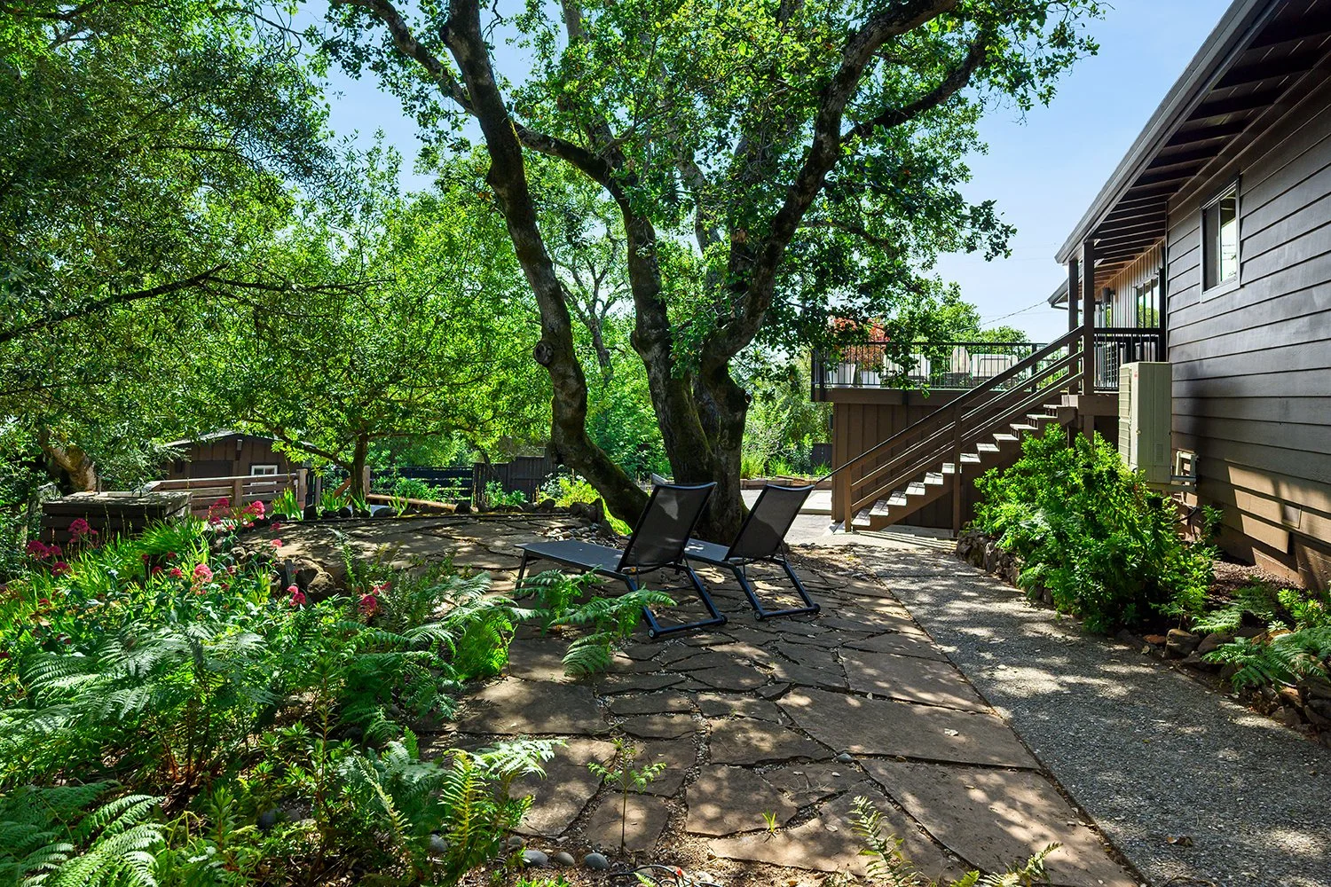 A backyard with a large tree, patio chairs, patio stairs, plants, and a house exterior under a sunny sky.
