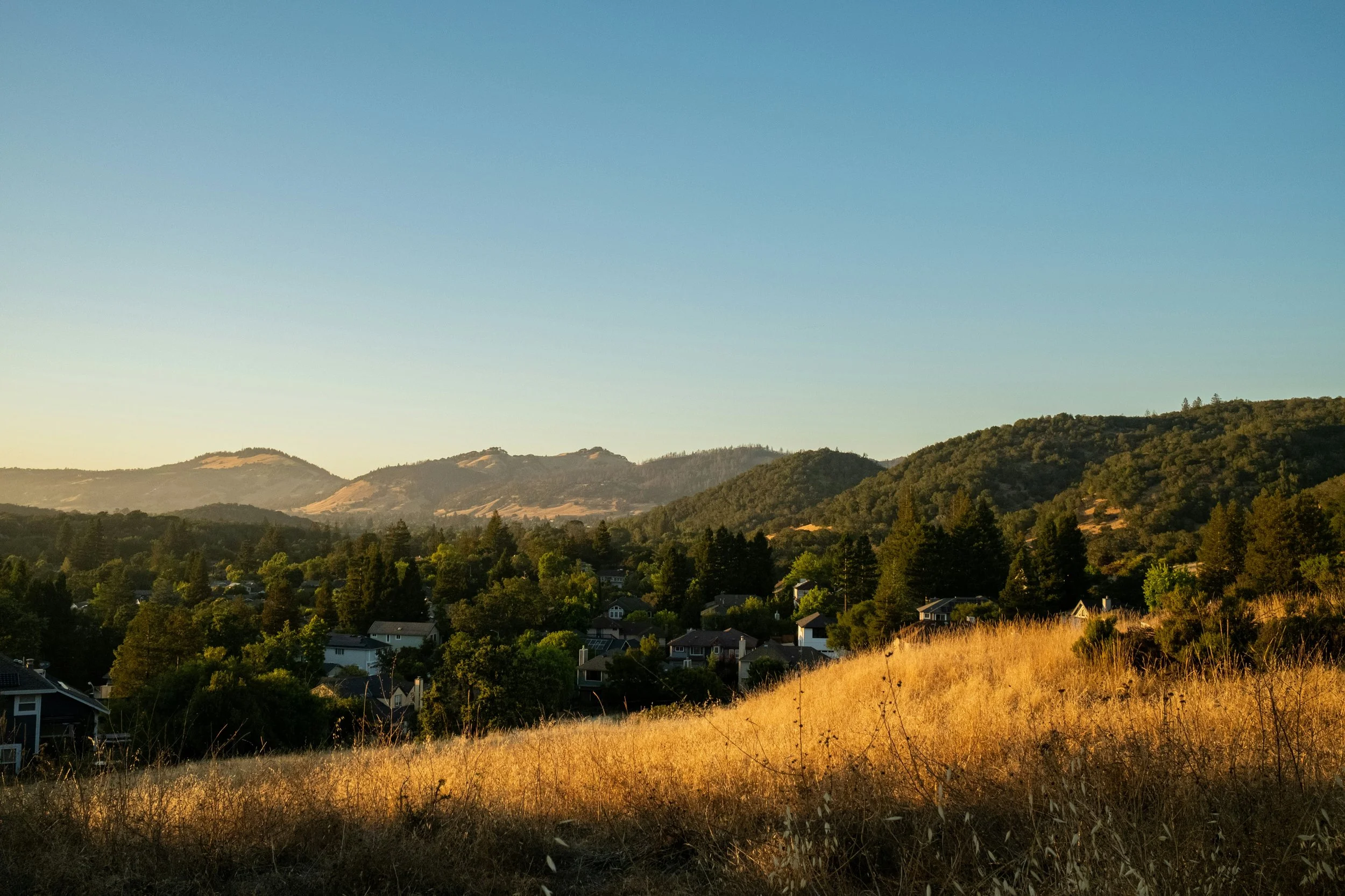 A scenic view of a residential neighborhood with houses surrounded by tall trees, rolling hills in the background, and a clear blue sky above during late afternoon or early evening.
