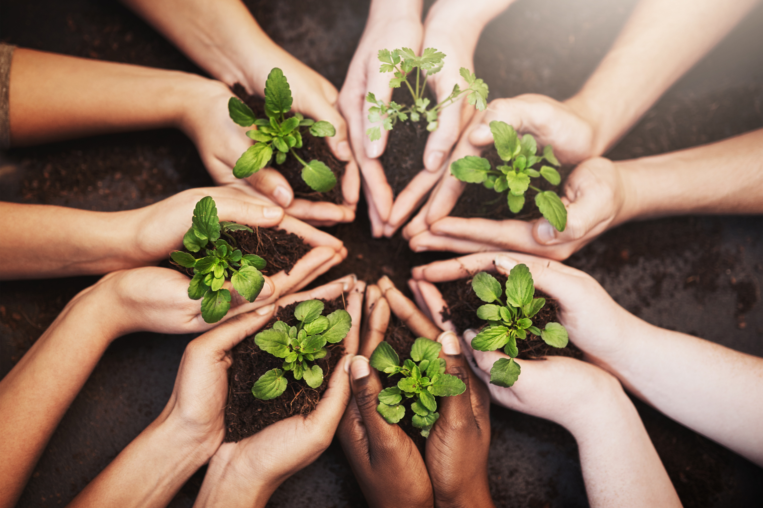 Hands coming together representing private-label formulation partnership with Bug Brothers LLC