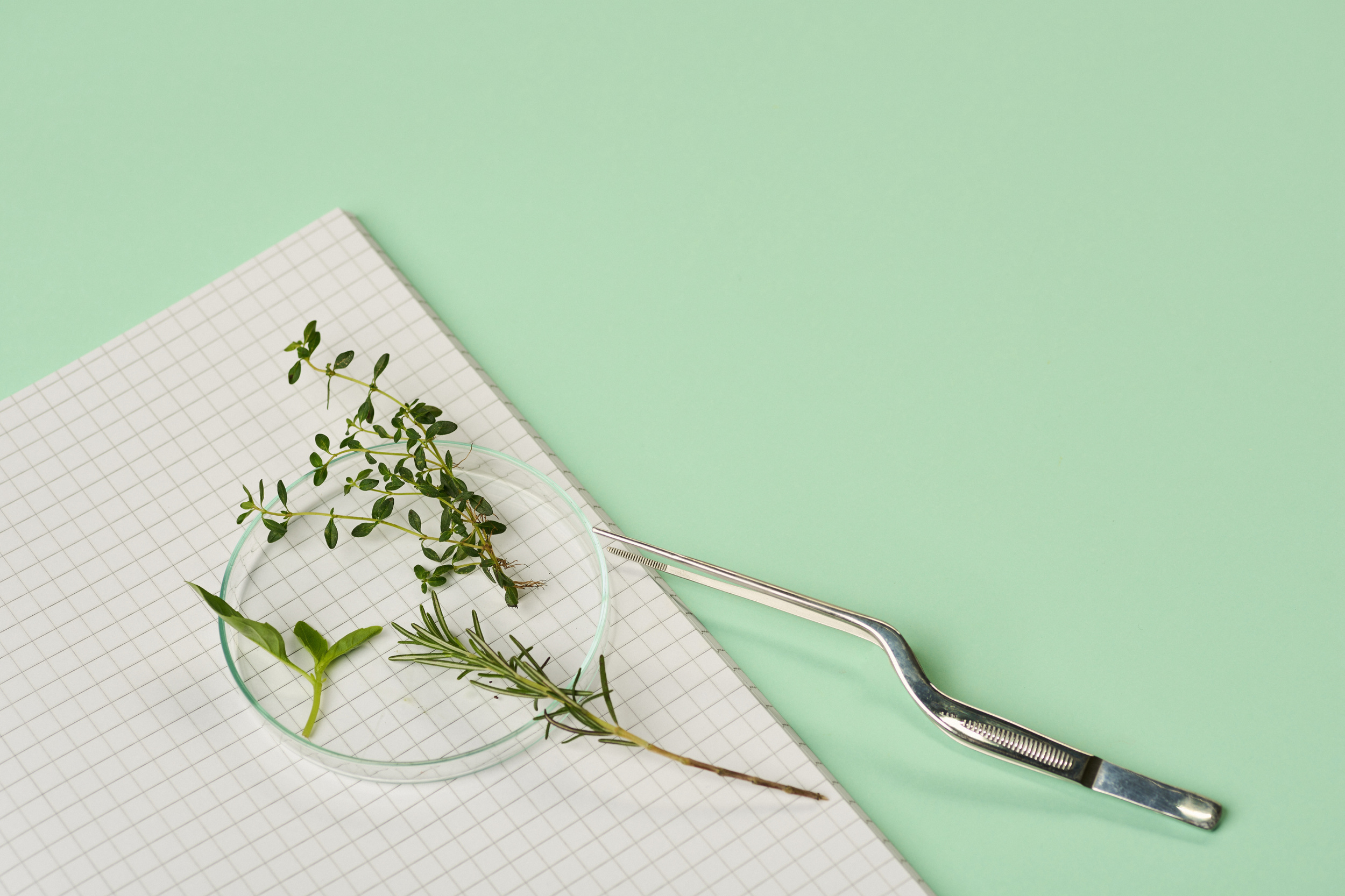 Minimum risk botanical pesticide for private label opportunities at Bug Brothers LLC