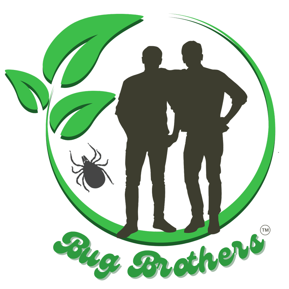 Bug Brothers LLC