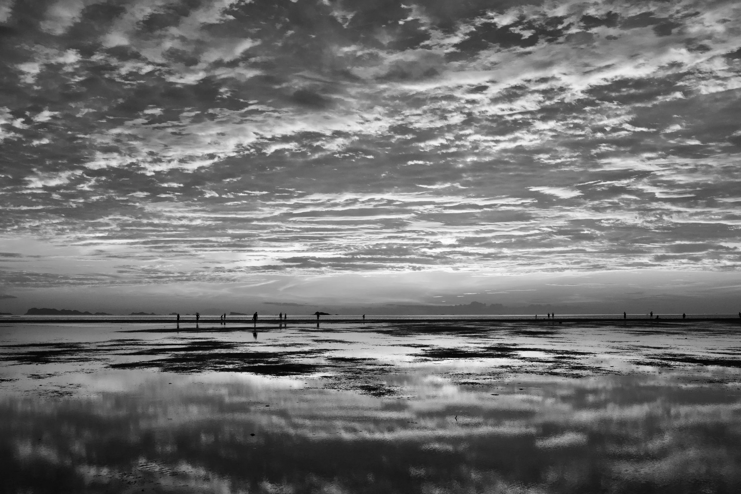 DSC_3139.jpeg