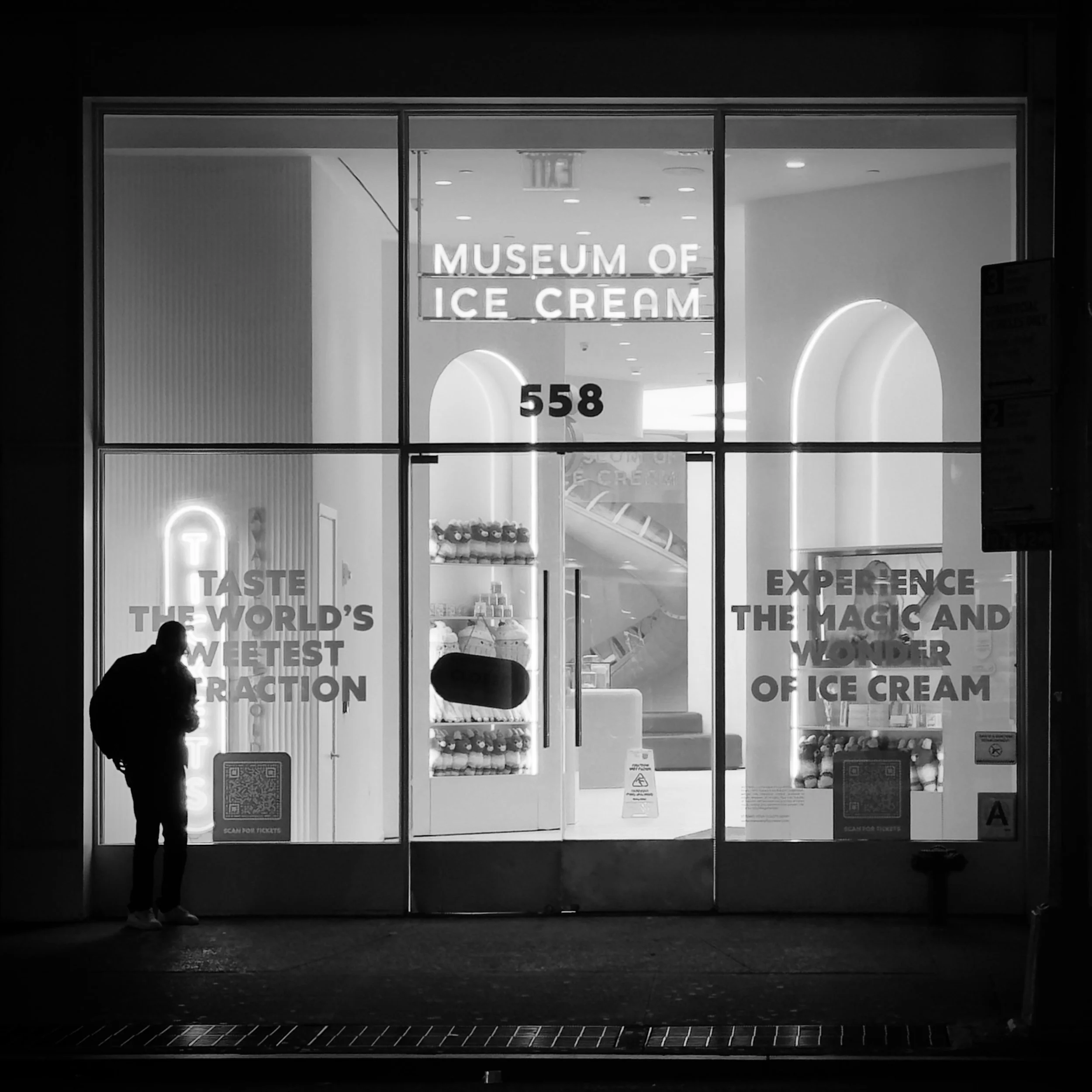 IMG_3504.jpeg