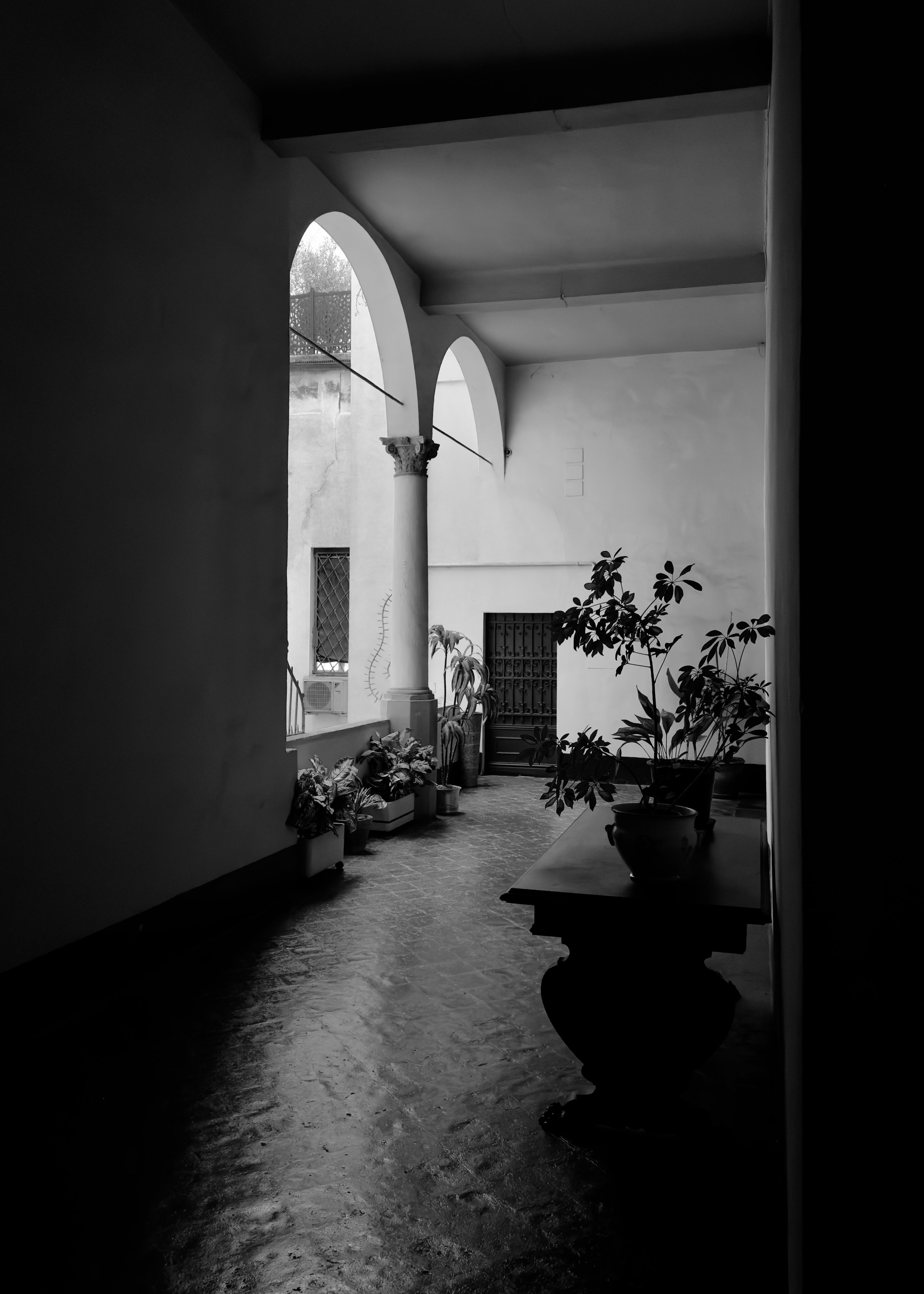 IMG_7164.jpeg