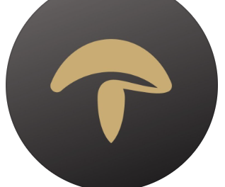Minimalist illustration of a mushroom on a dark background.