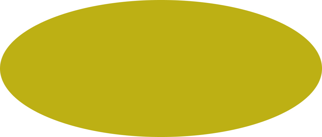 Yellow oval.