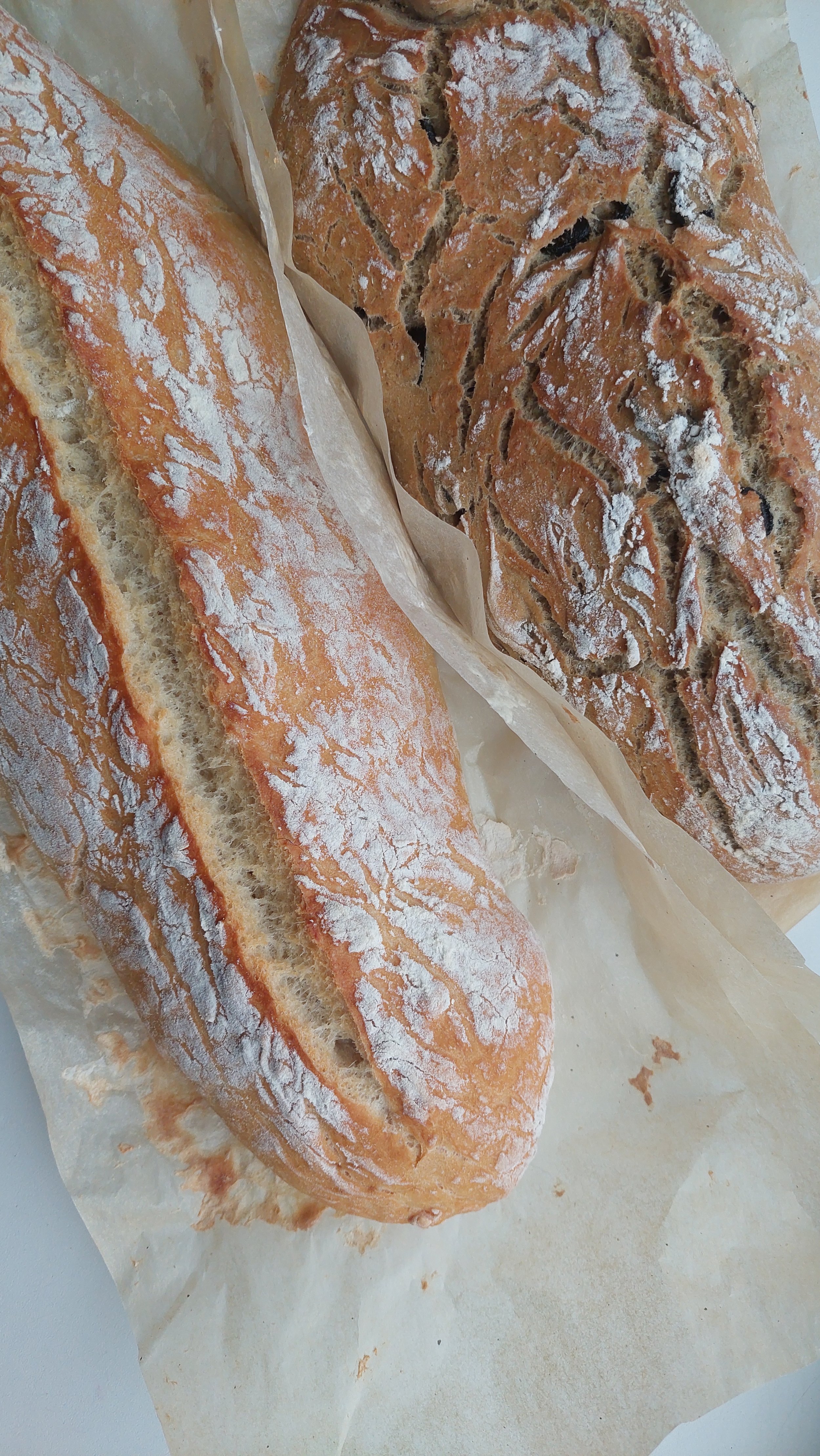 Sourdough Class 10/24