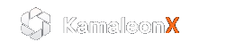 Kamaleon - Demand Driven Solutions