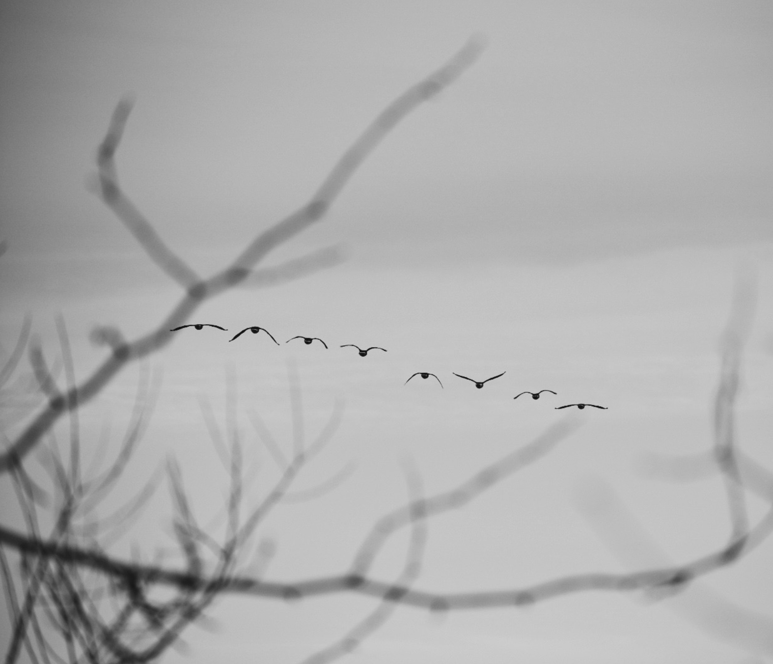 Screen Shot 2026-04-08 at 1.34.27 AM.png