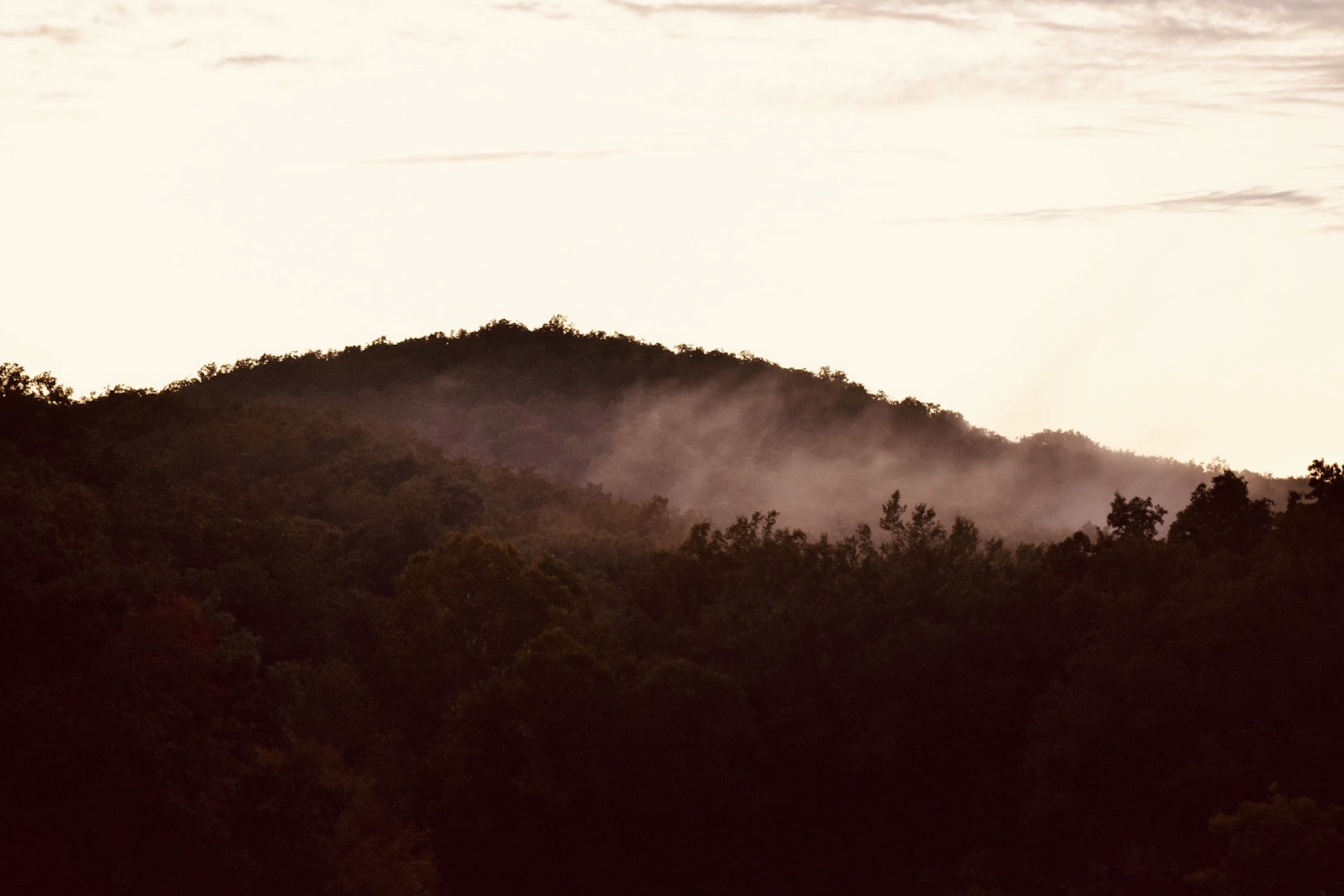 Screen Shot 2026-04-08 at 1.46.52 AM.png