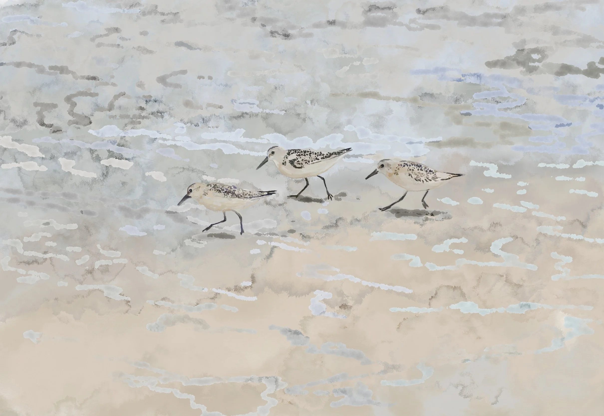 "Low Tide Extras" by Olivia Jiles