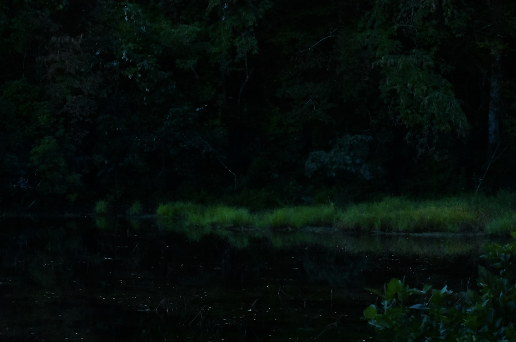 Screen Shot 2026-04-08 at 1.45.38 AM.png