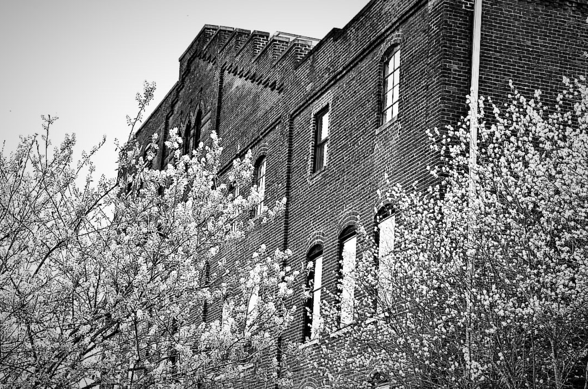 Screen Shot 2026-04-08 at 1.34.16 AM.png