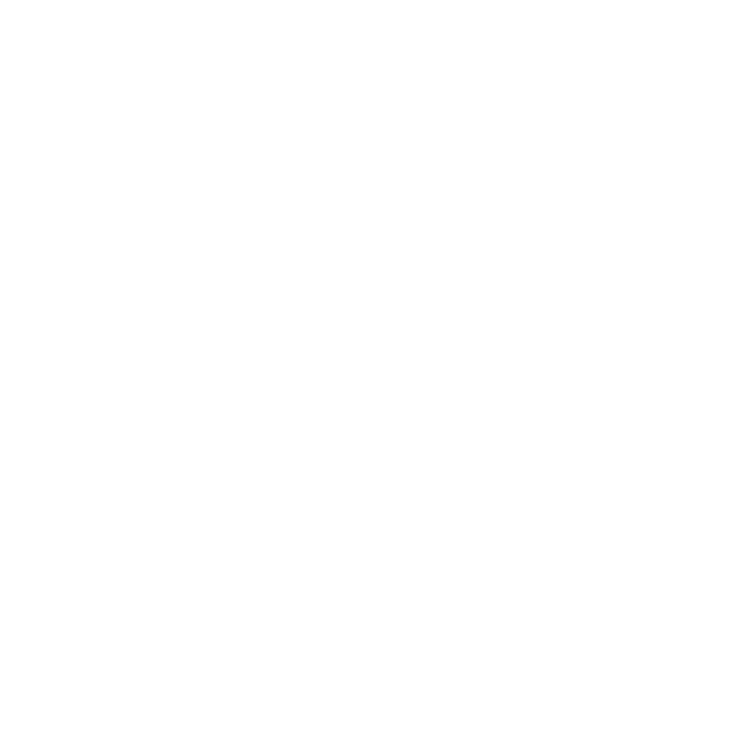 Line drawing of a patterned rug with a central geometric design.