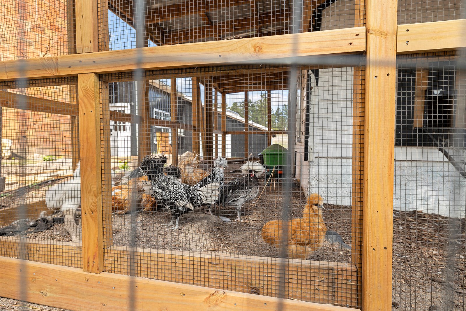 Exterior_Barnyard4.jpg