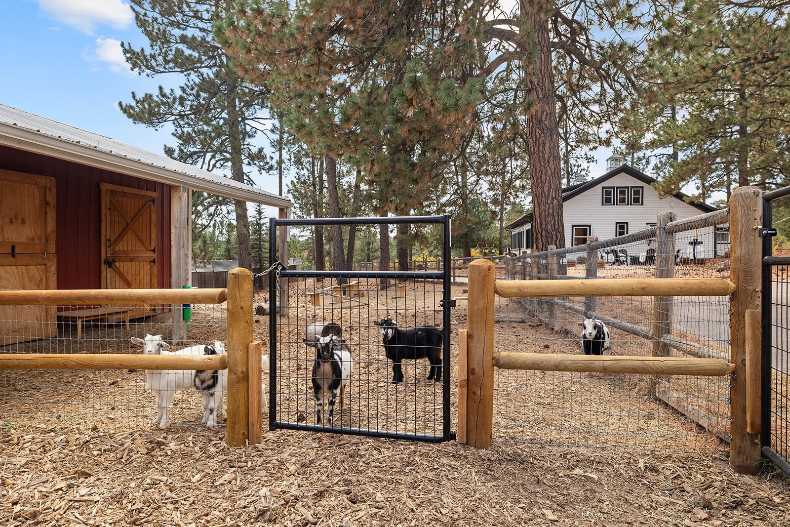 Exterior_Barnyard8.jpg