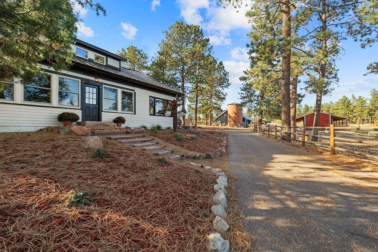 A white house with black trim, a dark door, and multiple windows is situated on a sloped yard with pine needles, rocks, and potted plants. There is a stone pathway and steps leading to the door. Tall pine trees surround the area, with a dirt driveway curving alongside a wooden fence. In the background, there are additional buildings and clear blue skies.