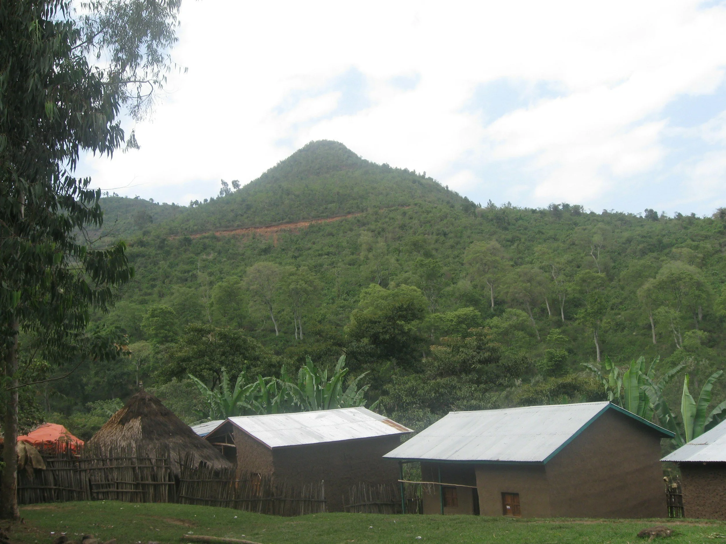 Hilly landscape with green trees, houses with metal roofs, and a thatched hut, under a partly cloudy sky.
