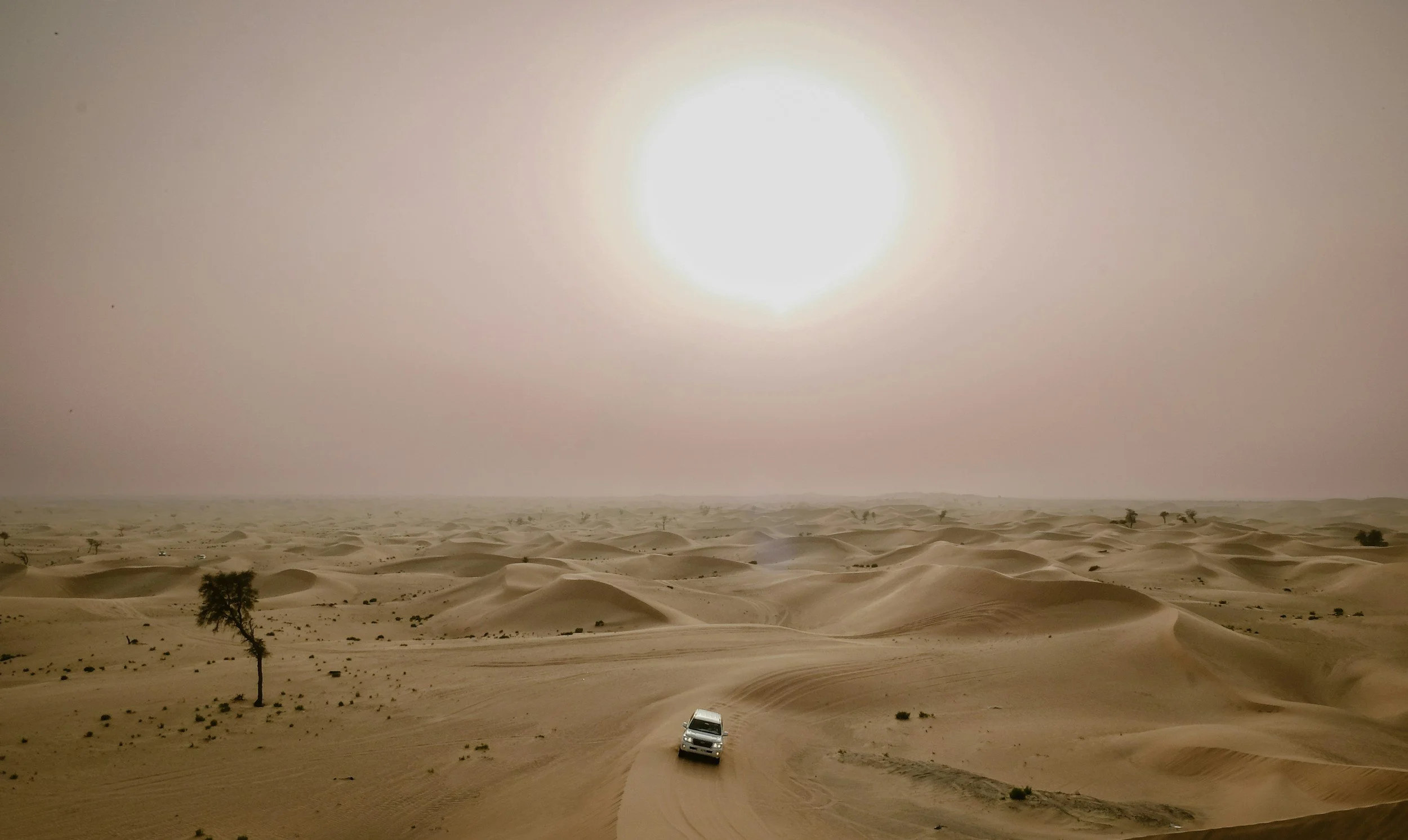 A white car driving on a sandy desert landscape with sand dunes and a few small trees under a bright, hazy sky.