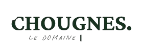Logo du Domaine des Chougnes