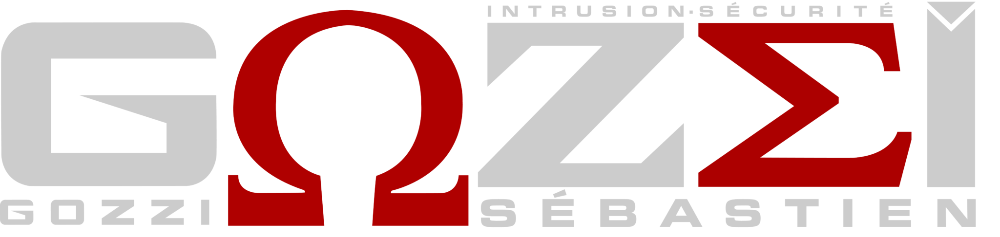 Logo Gozzi