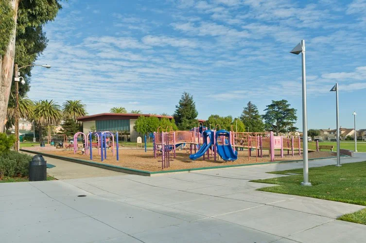 Playground with pink and blue slides and climbing structures, surrounded by trees and a clear sky.