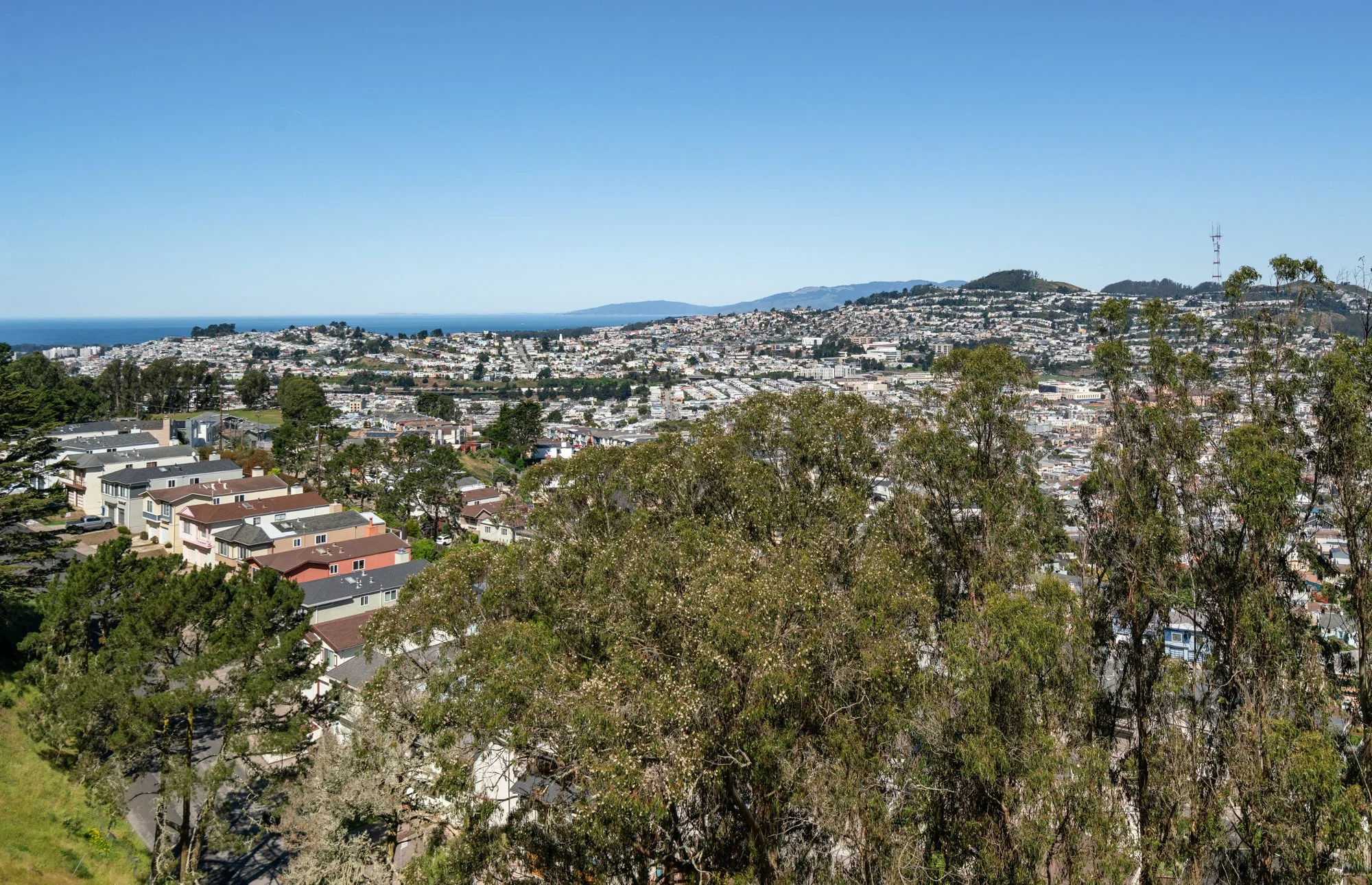 Cityscape with houses, trees, hills, and a clear blue sky, possibly in San Francisco area.