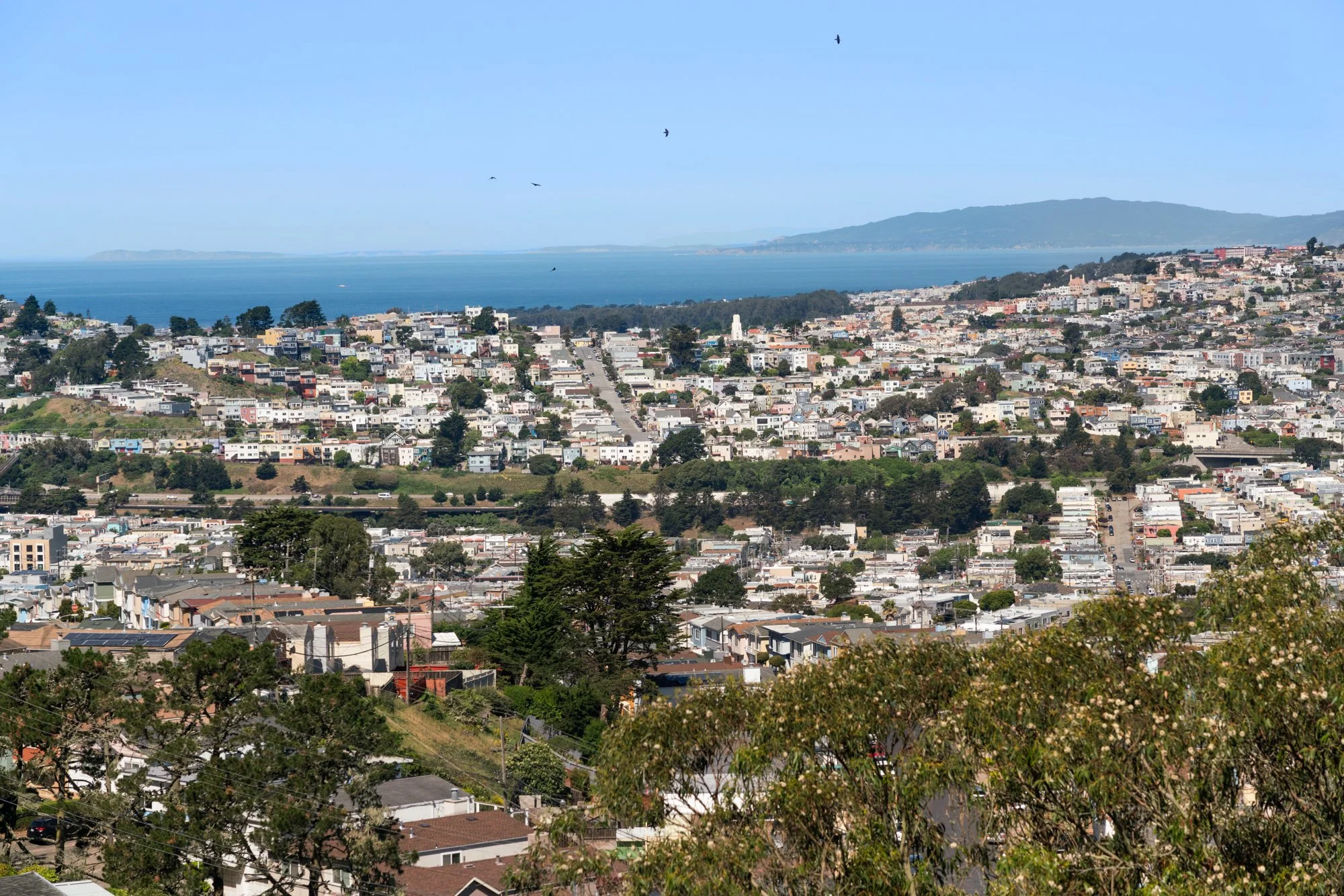 A panoramic view of a city with a hillside covered in houses and trees, overlooking a large body of water with distant islands and hills visible in the background. Birds are flying in the sky.