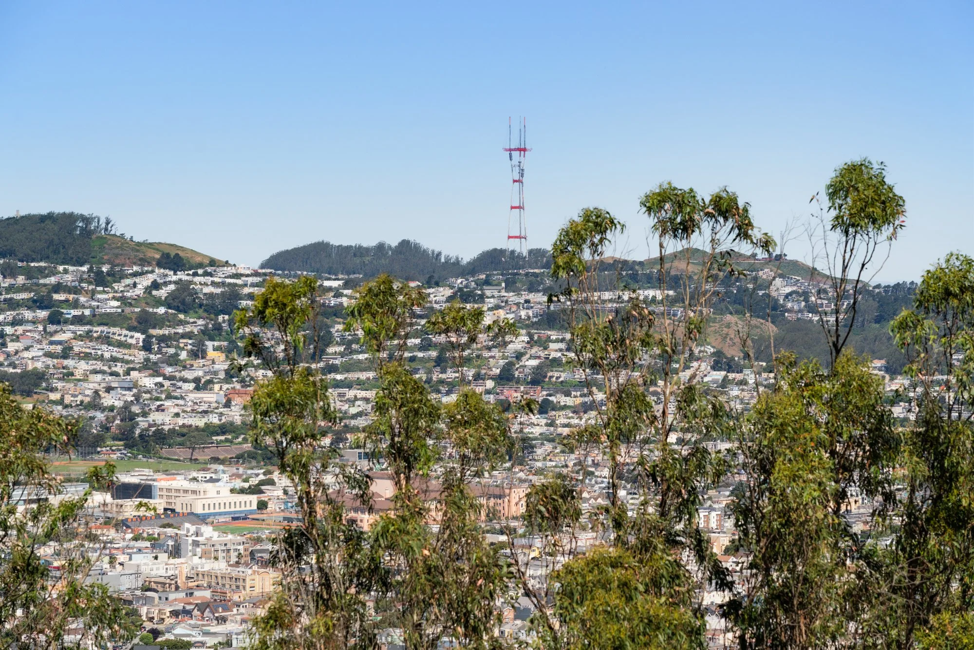 Cityscape of San Francisco with a view of houses on hills, a tall red and white communication tower, and green trees in the foreground under a clear blue sky.