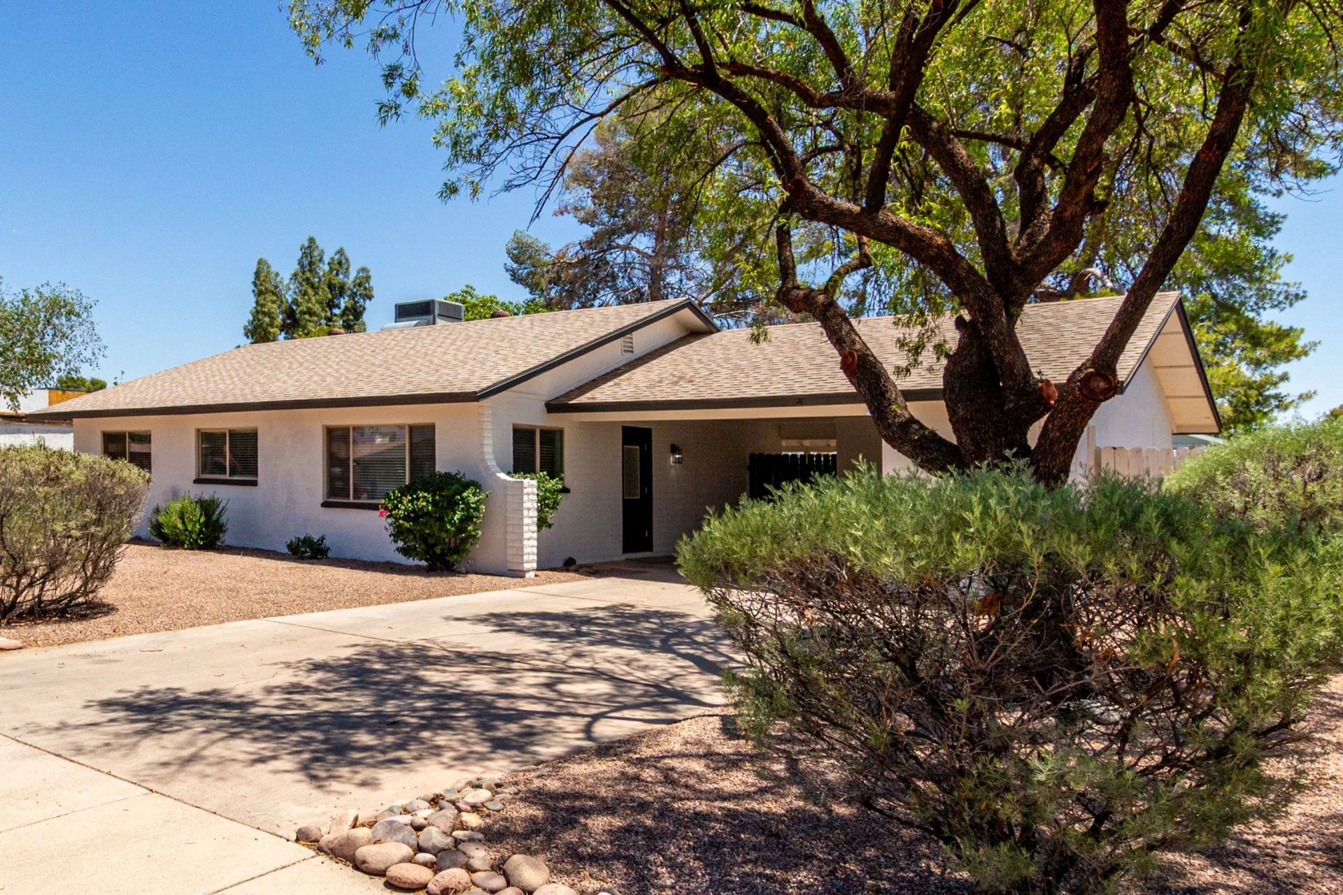 03 Windrose Front.jpg